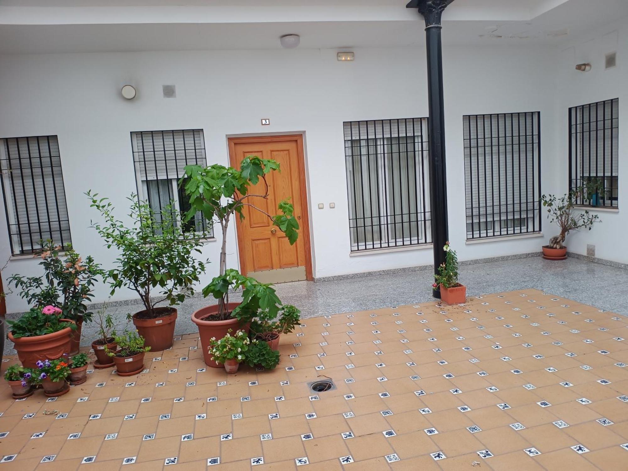 Sunshine Fernando Colon Apartment Кордоба Екстериор снимка